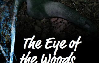 The Eye of the Woods, cover, 2023