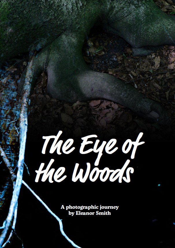 The Eye of the Woods, cover, 2023
