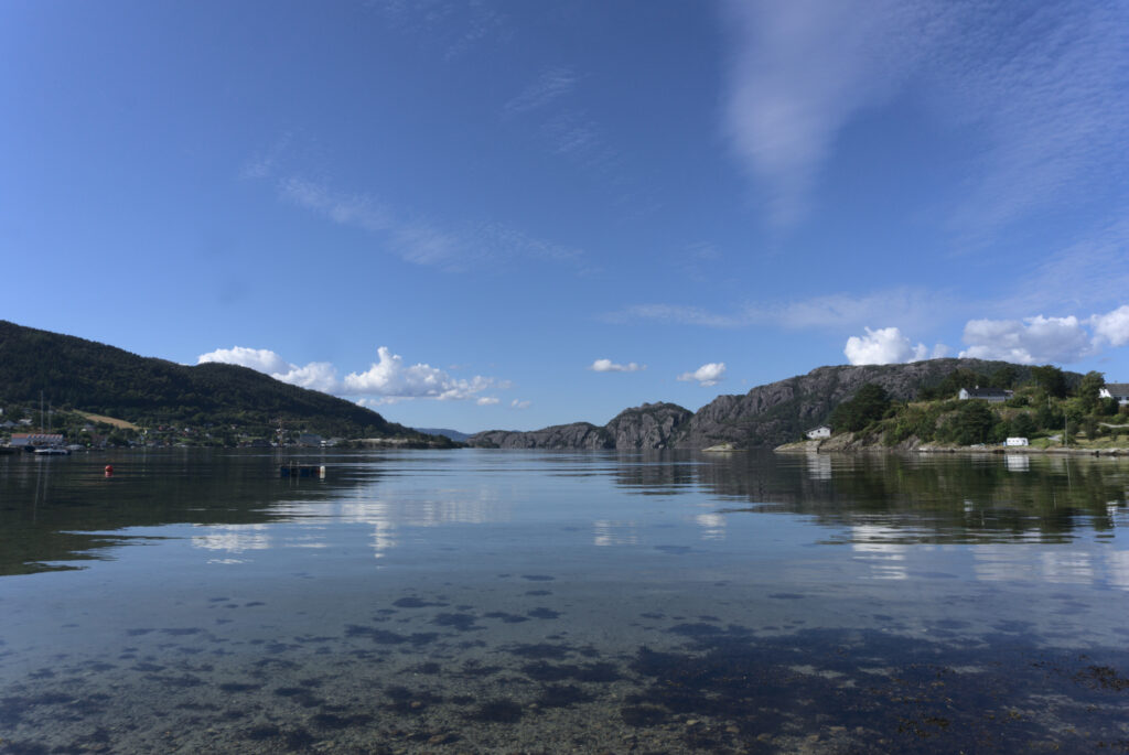 View over a fjord with water taking up about half of the picture and a blue sky with a few puffy white clouds taking up the upper half of the picture. There is land on the horizon with a dip in the middle where the fjord goes.