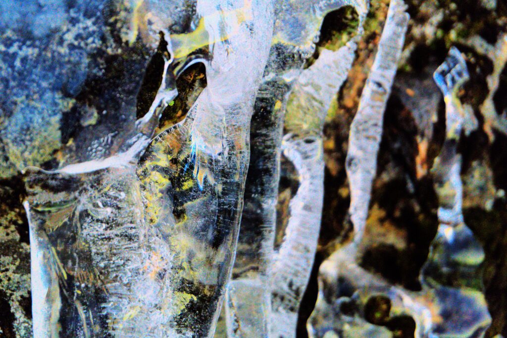 Close up picture of ice on a rock with many colours from the underlying rock and shapes from the ice. The ice looks like the face of a swan with an eye looking downwards.